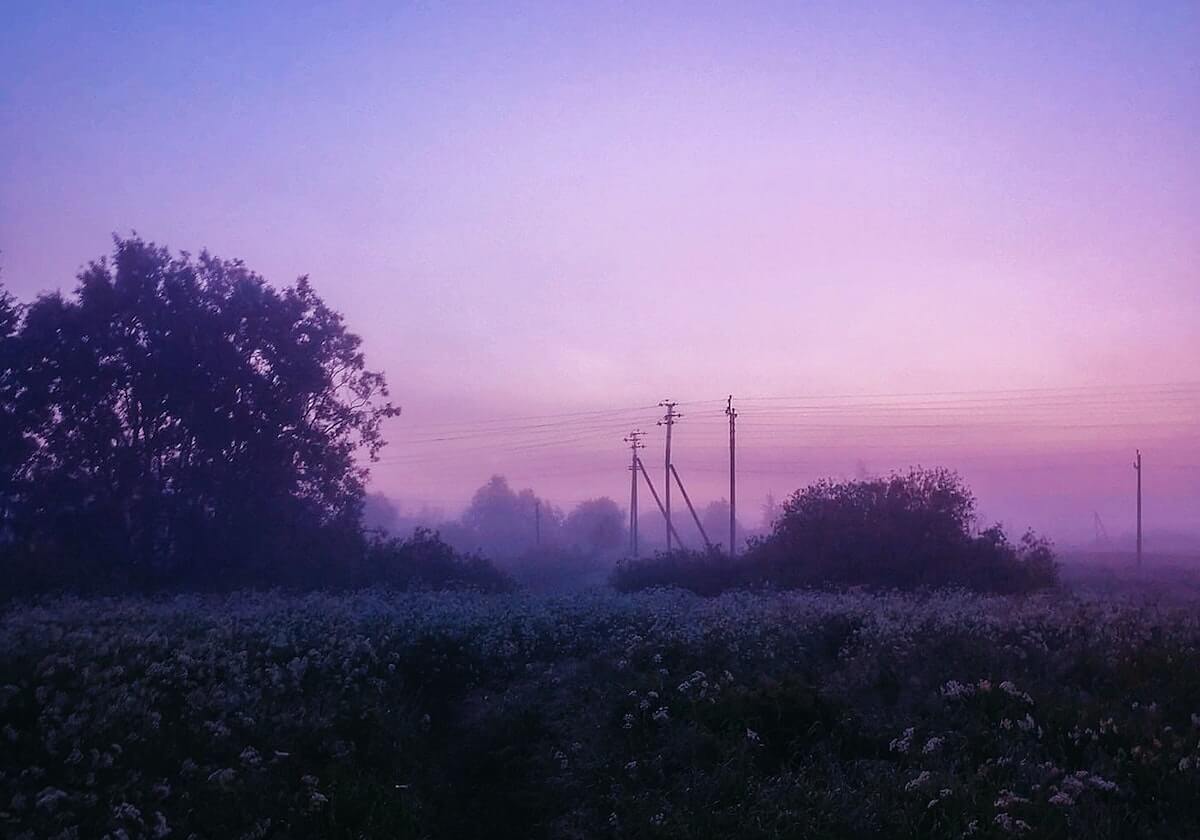 法国冬奥代表团人数创纪录